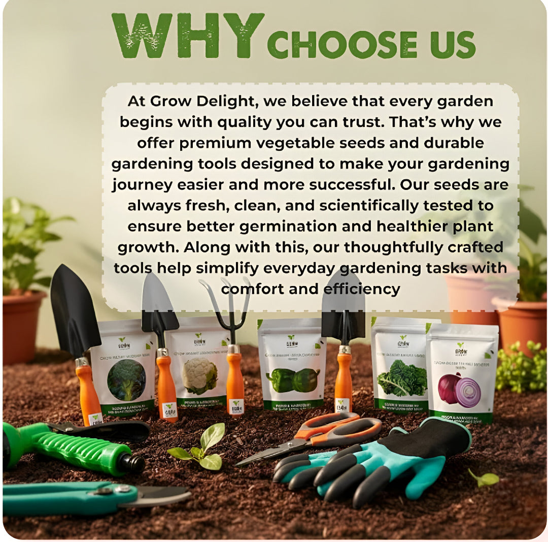 🌱 35 variety vegetable seed kit 🌱