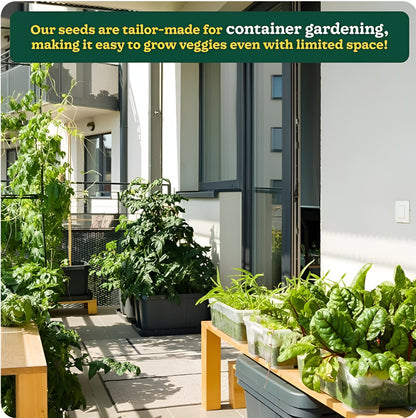 🌱 35 variety vegetable seed kit 🌱