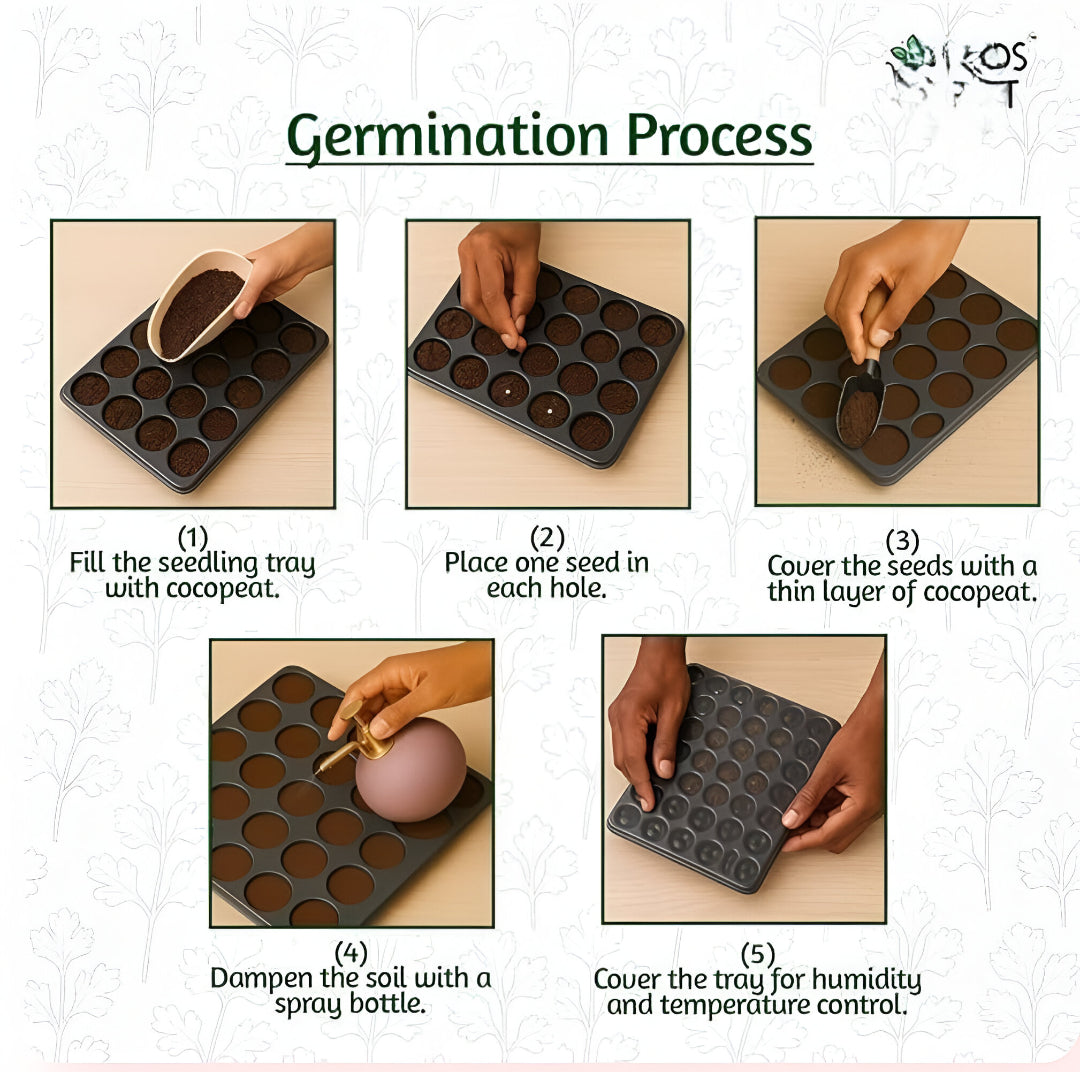 🌱 35 variety vegetable seed kit 🌱