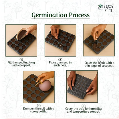 🌱 35 variety vegetable seed kit 🌱