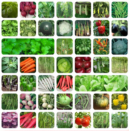 🌱 35 variety vegetable seed kit 🌱
