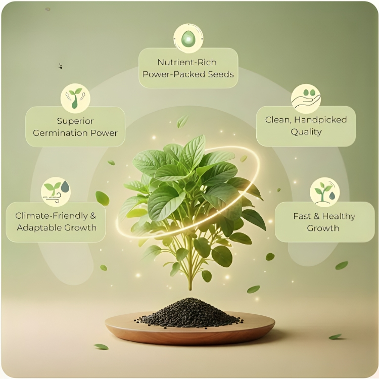 🌱 35 variety vegetable seed kit 🌱